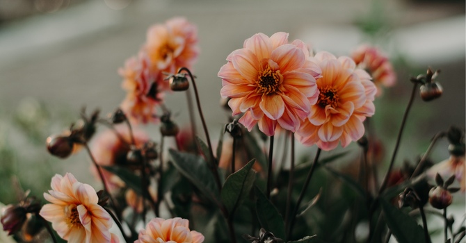 Ice Or Heat, Which Is Better When You're Hurt? image